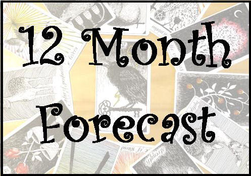 12 Month Forecast